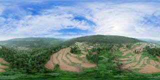 广元市_ 剑阁县_秀钟乡_种植基地2队